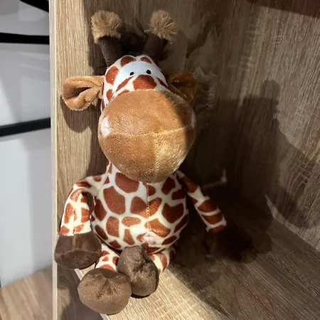 Magnifique Et Grand Loft Classe 4 Etoiles ラヴラネ