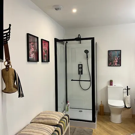 Magnifique Et Grand Loft Classe 4 Etoiles * Lavelanet