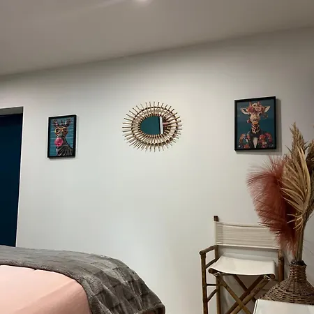 Апартаменты Hosanna Magnifique Grand Loft Classe 4 Etoiles