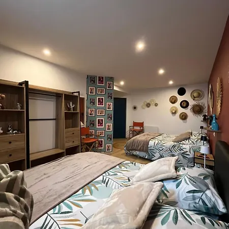 Magnifique Et Grand Loft Classe 4 Etoiles * Lavelanet