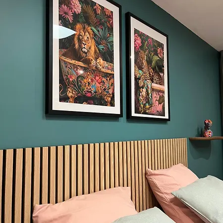 Magnifique Et Grand Loft Classe 4 Etoiles Daire