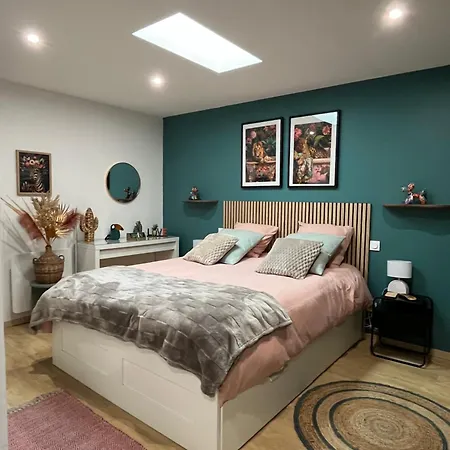 Magnifique Et Grand Loft Classe 4 Etoiles * Lavelanet