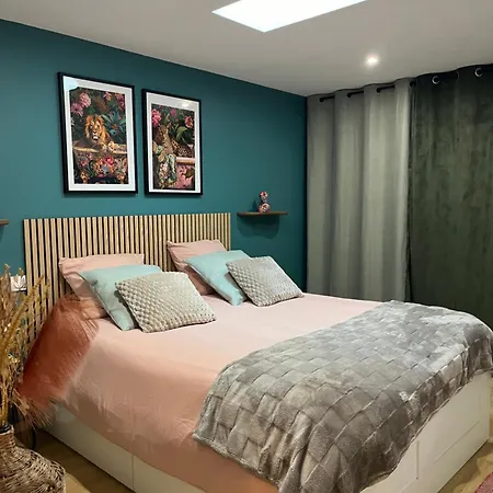 Daire Magnifique Et Grand Loft Classe 4 Etoiles Lavelanet