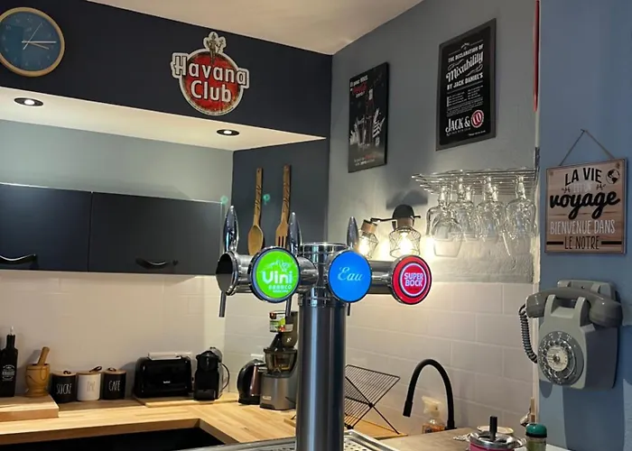 Hosanna Magnifique Grand Loft Classe 4 Etoiles Apartmán Lavelanet