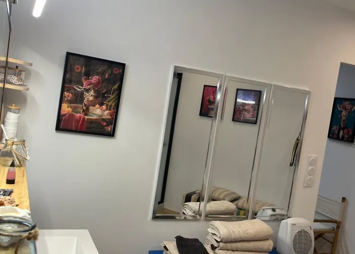 Hosanna Magnifique Grand Loft Classe 4 Etoiles Apartmán Lavelanet