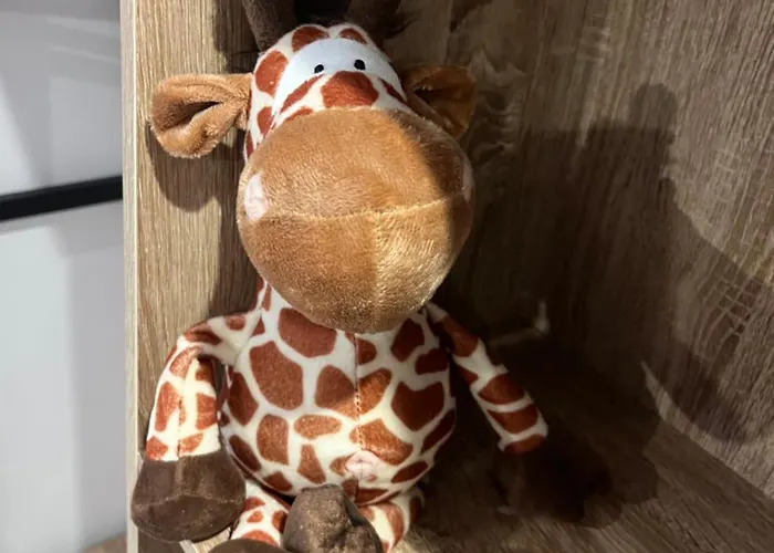 Hosanna Magnifique Grand Loft Classe 4 Etoiles Lavelanet