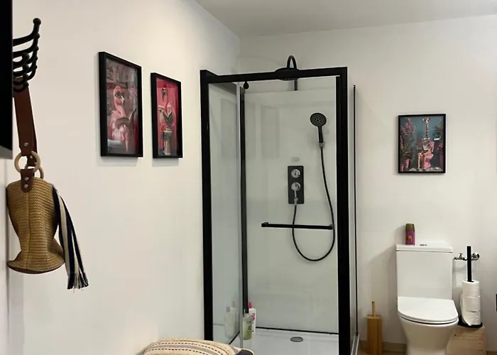 Hosanna Magnifique Grand Loft Classe 4 Etoiles * Lavelanet