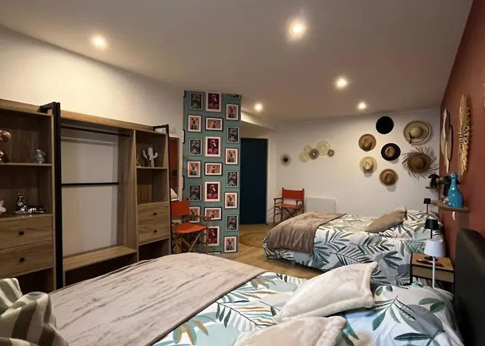 Magnifique Et Grand Loft Classé 4 étoiles * Lavelanet